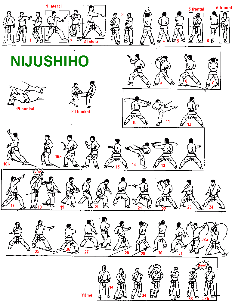 Kata Shotokan Karate - chrisunh